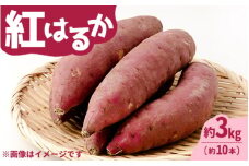 【先行受付】紅はるか 約3kg（約10本）〔P-218〕 | さつまいも サツマイモ 芋 いも イモ おやつ デザート 秋 旬 国産 先行予約 数量 限定 那須 栃木県 那須町
※2024年11月上旬頃より順次発送予定
