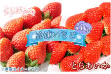 【とちあいか】《選べる品種！》とちおとめ とちあいか 冷凍いちご 1kg〔B-103〕 | いちご イチゴ 苺 フルーツ 果物 デザート ストロベリー 冷凍 ジャム スムージー フローズン 那須 栃木県 那須町