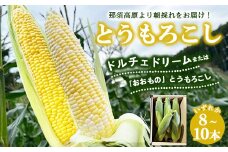 【先行受付】ドルチェドリーム とうもろこし 8～10本〔B-106〕｜ トウモロコシ コーン 先行予約 数量 限定 生 甘い 野菜 やさい 那須 栃木県 那須町 ※離島への配送不可 ※2024年7月下旬～8月下旬頃に順次発送予定