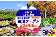 HISふるさと納税宿泊予約専用クーポン（栃木県那須町）30,000円分｜宿泊 宿泊券 旅行 旅行券 旅券 クーポン 旅 トラベル お出かけ 温泉 宿泊予約 HIS 那須 〔G-45〕