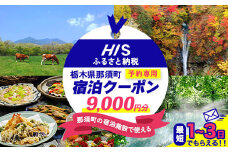 HISふるさと納税宿泊予約専用クーポン（栃木県那須町）9,000円分｜宿泊 宿泊券 旅行 旅行券 旅券 クーポン 旅 トラベル お出かけ 温泉 宿泊予約 HIS 那須 〔D-11〕