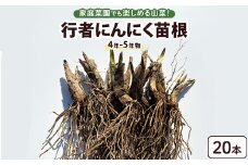 行者にんにく 苗根 20本（4年～5年物） ｜ にんにく ニンニク ガーリック 家庭菜園 栽培 野菜苗 野菜 薬味 料理 産地直送 那須 栃木県 那須町〔B-120〕