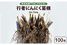 行者にんにく 苗根 100本（4年～5年物） ｜ にんにく ニンニク ガーリック 家庭菜園 栽培 野菜苗 野菜 薬味 料理 産地直送 那須 栃木県 那須町〔E-56〕