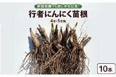 行者にんにく 苗根 10本（4年～5年物） ｜ にんにく ニンニク ガーリック 家庭菜園 栽培 野菜苗 野菜 薬味 料理 産地直送 那須 栃木県 那須町〔A-55〕