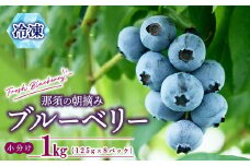 【先行予約】那須町朝摘み冷凍ブルーベリー1kg（真空パック125g×8袋）〔B-123〕 ※2025年6月上旬頃より順次発送予定