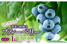 【先行予約】那須町生ブルーベリー1kg（250g×4パック） 限定100個〔P-345〕 ※2025年6月上旬～7月下旬頃に順次発送予定 ※北海道・沖縄・離島への配送不可