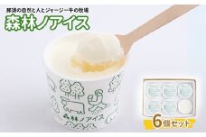 森林ノアイス6個セット〔B-124〕