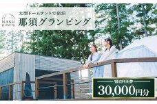 那須グランピング　宿泊利用券　30,000円分（1,000円×30枚） ｜ 大型ドームテントと個別のトイレシャワー洗面台完備！豪華ディナー＆モーニング付！ 宿泊 旅行 チケット 宿泊券 旅行券 優待券 観光 国内旅行 グランピング 那須 栃木県 那須町〔G-50〕