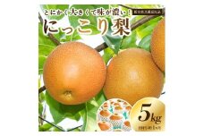 【栃木県共通返礼品】 JAなすの産 梨 にっこり 5kg〔P-391〕※北海道・沖縄・離島への配送不可 ※2025年10月上旬～10月下旬頃に順次発送予定