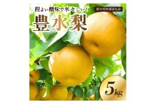 【栃木県共通返礼品】 JAなすの産 梨 豊水 5kg〔P-390〕※北海道・沖縄・離島への配送不可 ※2025年9月上旬～9月下旬頃に順次発送予定