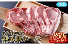 ≪鶏春≫ とちぎゆめポーク　熟成豚ロース850g （170g×5）5枚セット ドライエイジング ｜ 熟成肉 豚肉ソテーとんかつミートショップ鶏春 栃木県 那須町 那須〔P-368〕