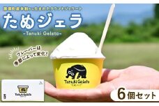 那須町産米粉から生まれたクラフトジェラート『たぬジェラ』6個セット〔B-127〕 | 栃木県 那須町 ジェラート アイス 氷菓 ※沖縄・離島への配送不可