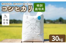 【令和7年産】特別栽培米 コシヒカリ 30kg 〔P-292〕 | こしひかり 米 お米 コメ こめ 精米 濃厚 甘い 国産 那須 栃木県 那須町 ※2025年10月下旬頃より順次発送予定