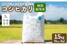 【令和7年産】特別栽培米 コシヒカリ 15kg（5kg×3袋） 〔P-290〕 | こしひかり 米 お米 コメ こめ 精米 濃厚 甘い 国産 那須 栃木県 那須町 ※2025年10月下旬頃より順次発送予定