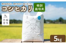 【令和7年産】特別栽培米 コシヒカリ 5kg 〔P-288〕 | こしひかり 米 お米 コメ こめ 精米 濃厚 甘い 国産 那須 栃木県 那須町 ※2025年10月下旬頃より順次発送予定