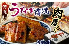 特選　蒲焼うなぎ(短冊)肉厚うなぎを炭火焼！| ふるさと納税 特選 蒲焼うなぎ 短冊 肉厚うなぎ炭 高級蒲焼 国産うなぎ 肉厚 炭火焼うなぎ 贅沢 肉厚うなぎ蒲焼特選 炭火焼うなぎ ギフト 栃木県 那珂川町 送料無料