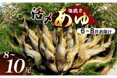 【2026年先行予約】【6月～8月旬の鮎をお届け】活〆鮎塩焼き　発送日当日池上げした活鮎を焼いてお届け | 活〆鮎塩 新鮮活鮎塩焼き 池上げ活〆鮎 6月～8月 活〆鮎 塩焼き発送 活鮎 塩焼き 直送 旬 ギフト ふるさと納税 栃木県 那珂川町 送料無料