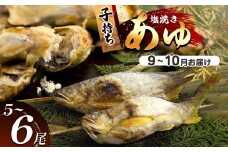 【2026年先行予約】【9月～10月旬の鮎をお届け】子持ちあゆ（塩焼き）　発送日当日池上げした活鮎を焼いてお届け | 子持ちあゆ 塩焼き 活鮎 子持ちあゆ 塩焼き 9月～10月 新鮮子持ち鮎 旬の子持ち鮎 塩焼きお取り寄せ 池上げ当日子持ち あゆ  直送 旬 ギフト ふるさと納税栃木県 那珂川町 送料無料