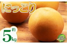 【2025年先行予約】栃木県共通返礼品 宇都宮産 にっこり 5kg | にっこり 新高 豊水 梨 なし 新品種 先行予約 大粒 新鮮 甘い 美味しい 果物 共通返礼品 フルーツ デザート 栃木県 那珂川町 送料無料