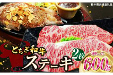 とちぎ和牛ステーキ　300ｇ×2枚 | 栃木県産 和牛すき焼き用 すき焼き 那須南 農協 高級 ご褒美 共通返礼品 ふるさと 納税 栃木県 那珂川町 送料無料