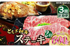 【定期便3回】とちぎ和牛ステーキ　300g×2枚 | 栃木県産 和牛すき焼き用 すき焼き 那須南 農協 高級 ご褒美 共通返礼品 ふるさと 納税 栃木県 那珂川町 送料無料