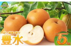 【2025年先行予約】生産量全国第3位！果汁が豊富で濃厚な味わいの豊水 5kg | 梨 なし 豊水 ほうすい 先行予約 大粒 新鮮 甘い 美味しい 果物 共通返礼品 フルーツ デザート 栃木県 那珂川町 送料無料