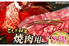とちぎ和牛焼肉用 800g | 和牛切り落とし 黒毛和牛 切り落とし 栃木県産黒毛和牛 焼肉 バーベキュー BBQ  肉 共通返礼品 牛肉 高級 ご褒美  ふるさと納税 栃木県 那珂川町 送料無料