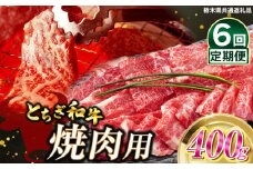 【定期便6回】とちぎ和牛焼肉用 400ｇ | 和牛切り落とし 黒毛和牛 切り落とし 栃木県産黒毛和牛 焼肉 バーベキュー BBQ  肉 牛肉 高級 ご褒美 ふるさと納税 栃木県 那珂川町 送料無料