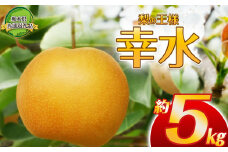 【2025年先行予約】生産量全国第3位！梨の王様 幸水 5kg | 梨 なし 幸水 こうすい 先行予約 大粒 新鮮 甘い 美味しい 果物 共通返礼品 フルーツ デザート 栃木県 那珂川町 送料無料