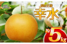 【2025年先行予約】生産量全国第3位！梨の王様 幸水 5kg | 梨 なし 幸水 こうすい 先行予約 大粒 新鮮 甘い 美味しい 果物 共通返礼品 フルーツ デザート 栃木県 那珂川町 送料無料