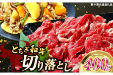 とちぎ和牛切り落とし 400g | 和牛切り落とし 黒毛和牛 切り落とし 栃木県産黒毛和牛 すき焼き 牛丼 肉 牛肉 共通返礼品 高級 ご褒美  ふるさと納税 栃木県 那珂川町 送料無料