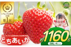 【2026年先行予約】大人気！日本一のいちご生産量を誇るJAはが野が厳選 最旬 とちあいか 290g×4P | いちご とちおとめ 甘い 美味しい 果物 共通返礼品 フルーツ デザート 栃木県 那珂川町 送料無料