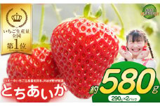 【2026年先行予約】大人気！日本一のいちご生産量を誇るJAはが野が厳選 最旬 とちあいか 290g×2P | いちご とちおとめ 甘い 美味しい 果物 共通返礼品 フルーツ デザート 栃木県 那珂川町 送料無料