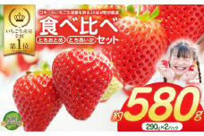 大人気！日本一のいちご生産量を誇るJAはが野が厳選 最旬 とちおとめ・とちあいか食べ比べセット 290g×2P | いちご とちおとめ とちあいか 甘い 美味しい 果物 共通返礼品 フルーツ デザート 栃木県 那珂川町 送料無料