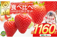 大人気！日本一のいちご生産量を誇るJAはが野が厳選 最旬 とちおとめ・とちあいか食べ比べセット 290g×4P | いちご とちおとめ とちあいか 甘い 美味しい 果物 共通返礼品 フルーツ デザート 栃木県 那珂川町 送料無料