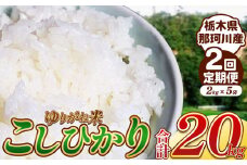  【定期2回】ゆりがね米20kg｜コシヒカリ 米 白米 おいしい お米 こめ おこめ 白米 精米 国産 ごはん ご飯 白飯 米 おこめ 白米 精米ゴハン ランキング 人気  ふるさと 納税 栃木県 那珂川町 送料無料