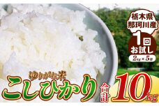  ゆりがね米10kg 2kgパックを5袋お試しコース ｜コシヒカリ 米 白米 おいしい お米 こめ おこめ 白米 精米 国産 ごはん ご飯 白飯 米 おこめ 白米 精米ゴハン ランキング 人気  ふるさと 納税 栃木県 那珂川町 送料無料