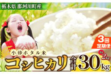 【定期3回】小砂 [こいさご] ホタル米20kg ｜米 白米 おいしい お米 こめ おこめ 白米 精米 国産 ごはん ご飯 白飯 米 おこめ 白米 精米ゴハン ランキング 人気  ふるさと 納税 栃木県 那珂川町 送料無料