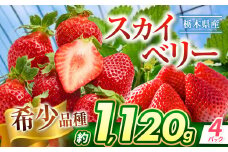 スカイベリー 1120g | 果物 くだもの フルーツ 苺 イチゴ いちご 野菜 ヤサイ やさい スカイベリー 希少品種 新鮮 甘い 数量 限定 美味しい 果物 共通返礼品 フルーツ デザート 栃木県 那珂川町 送料無料