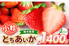 とちあいか 小粒 1400g | 果物 くだもの フルーツ 野菜 やさい ヤサイ 苺 イチゴ いちご とちあいか 新鮮 甘い 数量 限定 美味しい 果物 共通返礼品 フルーツ デザート 栃木県 那珂川町 送料無料