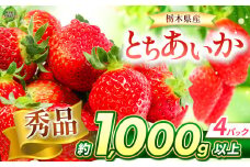とちあいか 秀品 1000g | 果物 くだもの フルーツ 野菜 やさい ヤサイ 苺 イチゴ いちご とちあいか 新鮮 甘い 数量 限定 美味しい 果物 共通返礼品 フルーツ デザート 栃木県 那珂川町 送料無料