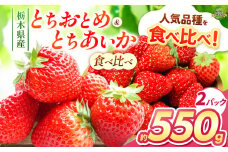 とちおとめ・とちあいか 食べ比べ 550g | 果物 くだもの フルーツ 野菜 やさい ヤサイ 苺 イチゴ いちご とちあいか とちおとめ 食べ比べ 新鮮 甘い 数量 限定 美味しい 果物 共通返礼品 フルーツ デザート 栃木県 那珂川町 送料無料