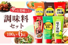 【ふるさと納税】調味料6点セット（四川豆板醤、甜面醤、コチジャン、オイスターソース、ゆず胡椒、にんにくおろし）各100ｇ×6 | 調味料 6種 那珂川町 栃木県