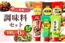 【ふるさと納税】【定期便6回】調味料6点セット（四川豆板醤、甜面醤、コチジャン、オイスターソース、ゆず胡椒、にんにくおろし）各100ｇ×6 | 調味料 6種 那珂川町 栃木県