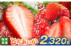 【栃木県共通返礼品】【先行予約】とちあいか 2320g | 果物 くだもの フルーツ 野菜 やさい ヤサイ 苺 イチゴ いちご とちあいか 新鮮 甘い 数量 限定 美味しい 果物 共通返礼品 フルーツ デザート 栃木県 那珂川町 送料無料