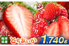 【栃木県共通返礼品】【先行予約】とちあいか 1740g | 果物 くだもの フルーツ 野菜 やさい ヤサイ 苺 イチゴ いちご とちあいか 新鮮 甘い 数量 限定 美味しい 果物 共通返礼品 フルーツ デザート 栃木県 那珂川町 送料無料