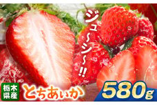 【栃木県共通返礼品】【先行予約】とちあいか 580g | 果物 くだもの フルーツ 野菜 やさい ヤサイ 苺 イチゴ いちご とちあいか 新鮮 甘い 数量 限定 美味しい 果物 共通返礼品 フルーツ デザート 栃木県 那珂川町 送料無料