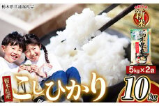 【栃木県共通返礼品】【令和7年度産新米】 栃木県産 こしひかり 白米 10kg （5kg×2袋） | ９月発送 ふるさと 納税 コシヒカリ お米 精米 白米 玄米 大粒 共通返礼品 送料無料 那珂川町 栃木県