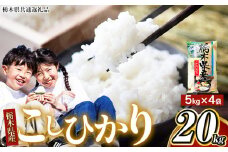 【栃木県共通返礼品】【令和7年度産新米】栃木県産 こしひかり 白米 5kg × 4袋 （合計20kg） | ふるさと 納税 コシヒカリ お米 精米 白米 玄米 大粒 共通返礼品 送料無料 那珂川町 栃木県