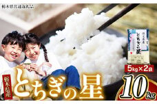 【栃木県共通返礼品】【令和7年度産新米】栃木県産 とちぎの星 白米 5kg×2袋（合計10㎏） | ふるさと 納税 新米 お弁当 お米 精米 美味しい 白米 つやつや とちぎ 大粒 共通返礼品 送料無料 那珂川町 栃木県